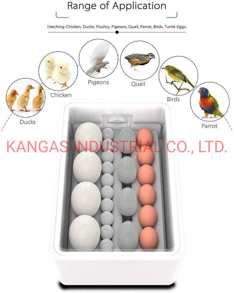 Mini Automatic Egg Incubator Chicken Duck Hatcher Laboratory Poultry Egg Incubator Temperature Hatchery Machine