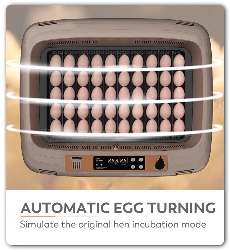 Hhd Factory Supply 50 Eggs Incubator Queen with 4 Fans for Hatching Birds
