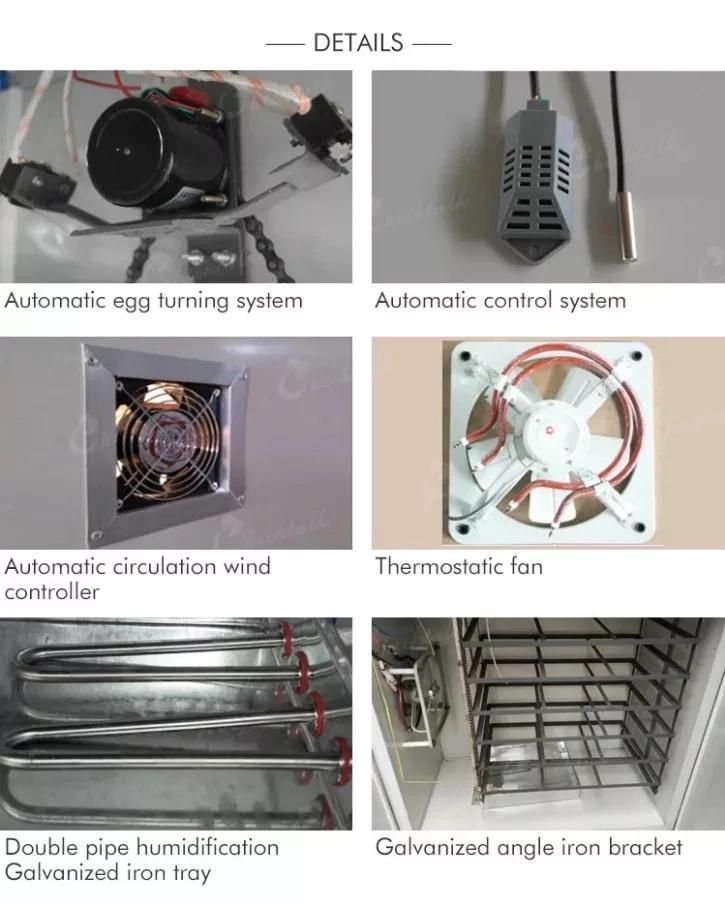 Temperature Control Chicken Duck Egg Incubator with Fully Automatic Egg Turning and Humidity Control 80W Clear Hatching