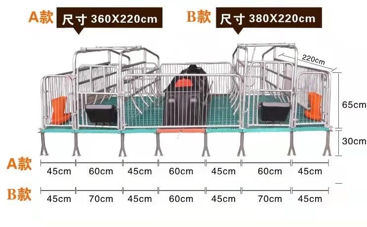 Livestock Equipment Sow Farrowing Crate for Pig with Slats Floor