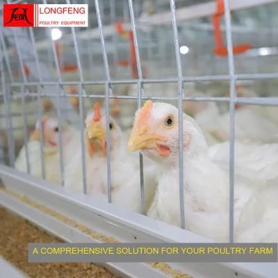 Poultry Farming Equipment Large Scale Longfeng Feeder Broiler Chicken Cage