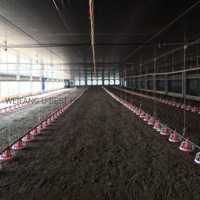 Automatic Broiler Shed Equipment for Farming Poultry Chicken