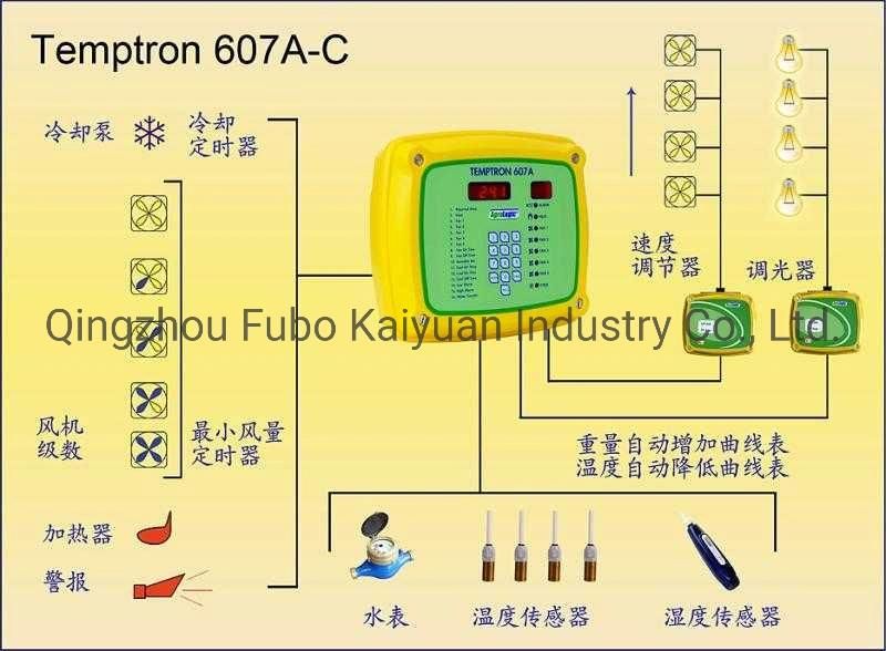 Automatic Farming Feeding & Drinking Poultry Equipment for Broiler/Chicken House/Duck House