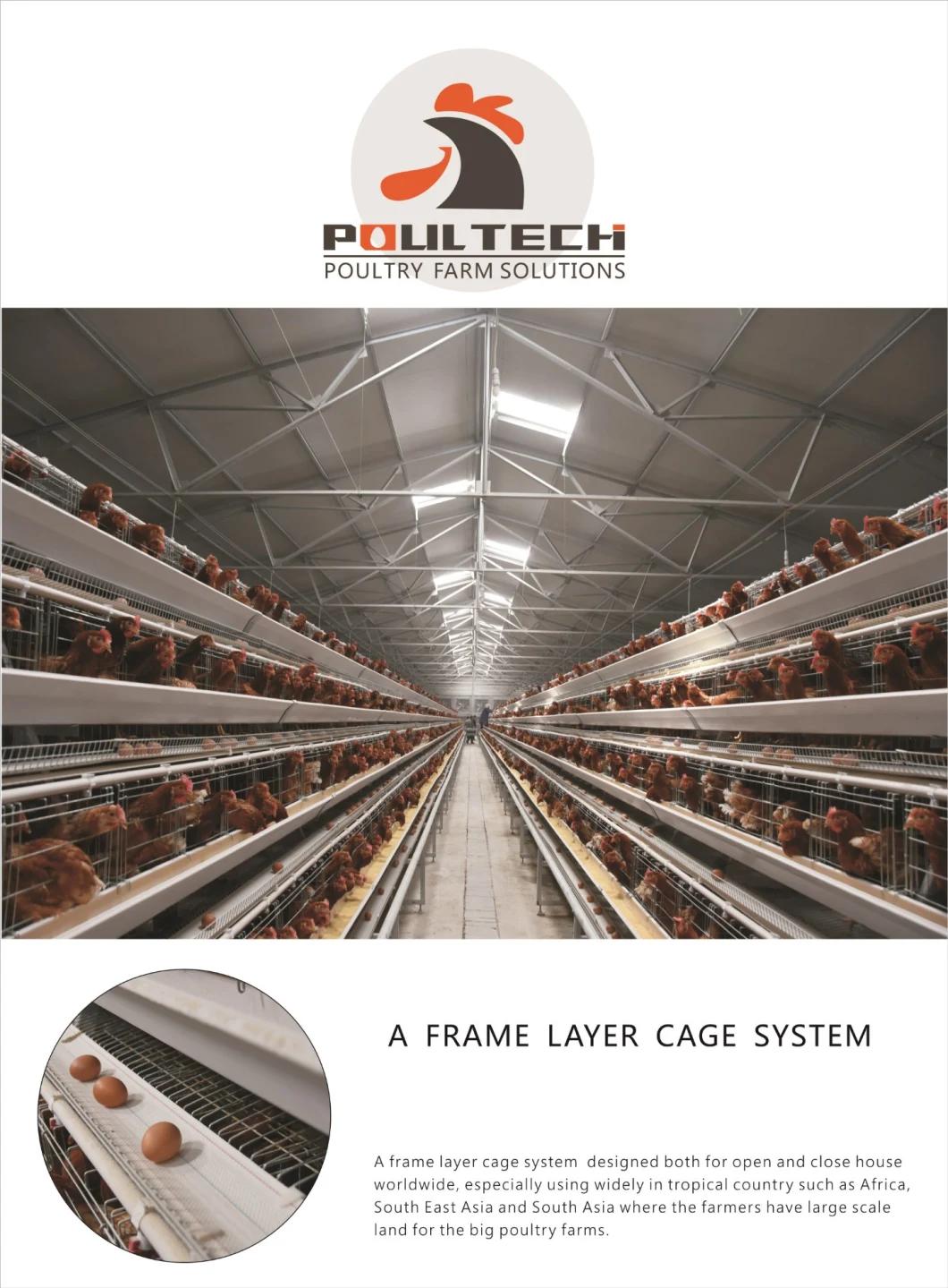 Hot Selling Type a Layer Cage Raising Equipment