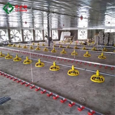 Complete Broiler House Construction Poultry Farm Equipment for Chicken