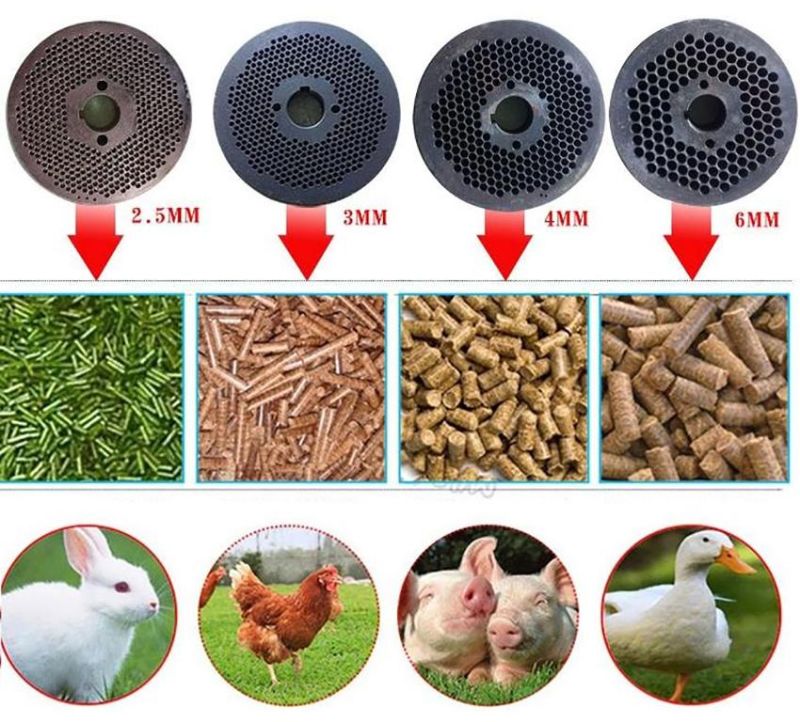 Poultry Food Machine Animal Feed Pellet Machine for Chicken, Pig, Sheep, Duck, Cattle