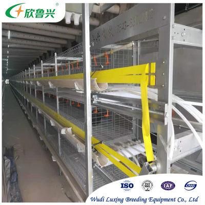 Automatic 3 Tiers 4 Tiers H Type Layer Broiler Poultry Chicken Cage for Battery Farming