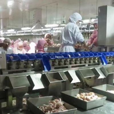 Food Grade Automatic Weight Sorting Machine Checkweigher for Chicken Meat Seafood Fish Crabs