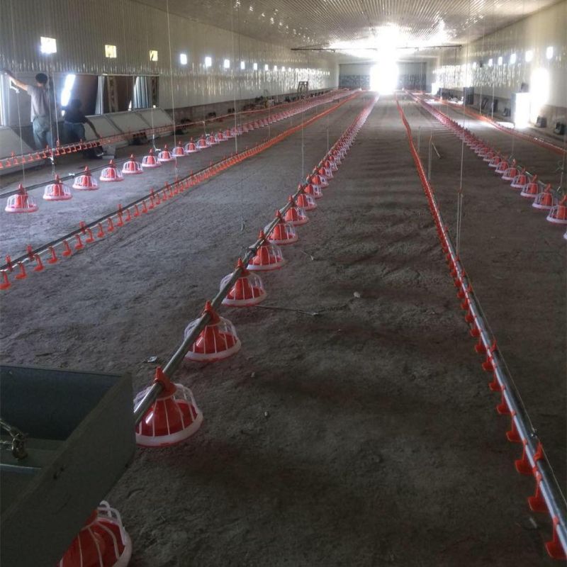 Automatic Chicken Poultry Farm Equipment for Broiler