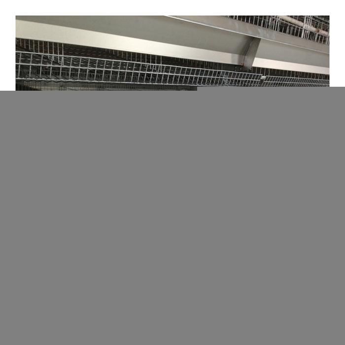 Automatic Chicken Layer Cages with Manure Cleaning System for Layer Chicken Feed