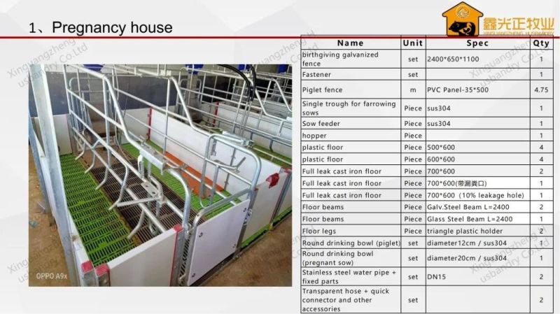 High Quality Pig Farm Design Gestation Stalls for Sows Pig Equipment Pig Cage