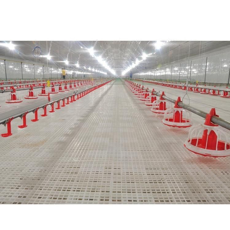 Poultry Equipment Floor for Chicken House
