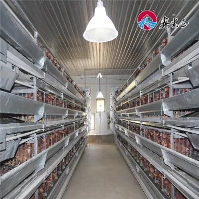 Poultry Farm Machinery for Layer