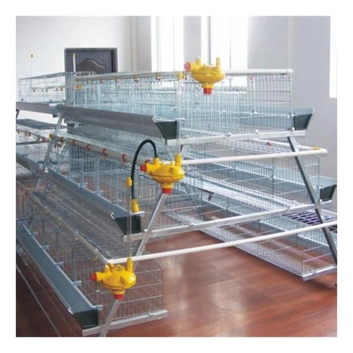 Modern Design Automatic Poultry Farming House a Type Battery Cage Chicken Farm Cage