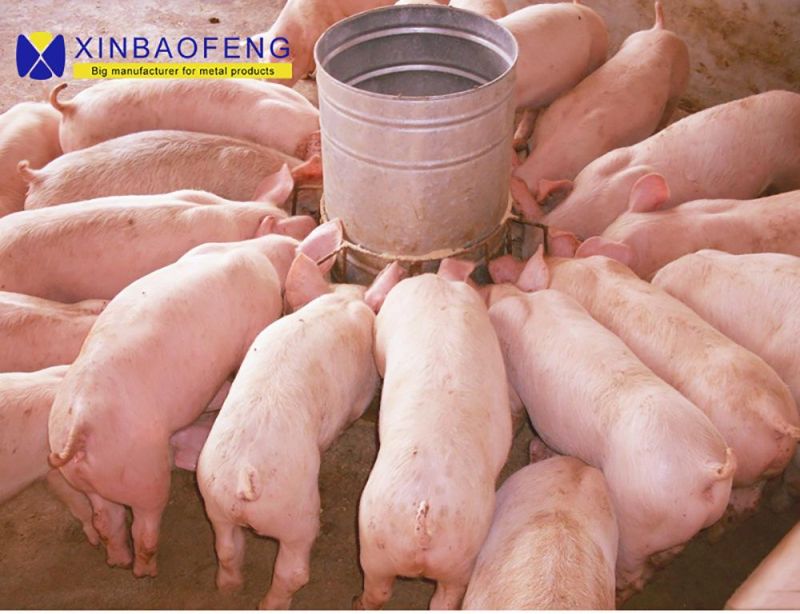 Double Sides Stainless Steel Pig Feeder for Sales