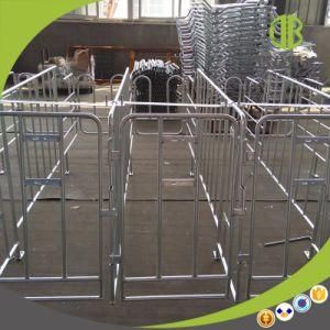 Hot DIP Galvanized Pig Gestation Stall Pig Stall