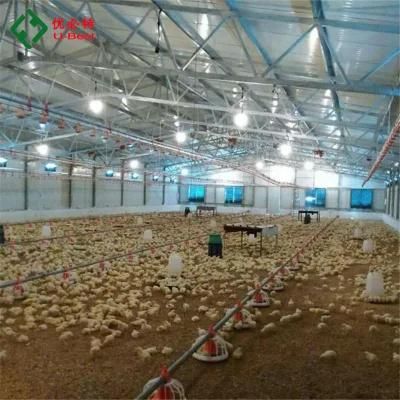 Automatic Poultry Livestock Equipment for Chicken Broiler