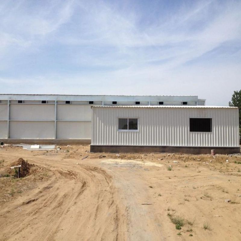New Precast Steel Structure Pig House Sow Shed