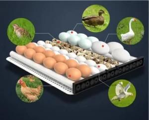 Chinese Factory Full Automatic Poultry Chicken Egg Incubator with LED Efficient Egg Testing Function for 56-200 Eggs