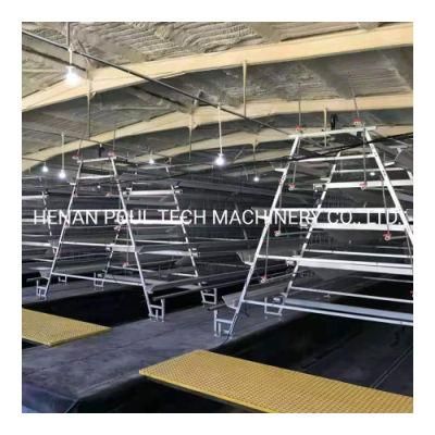 Best Price Chicken Layer Cage / Poultry Cage / Hot Selling Chicken Cages