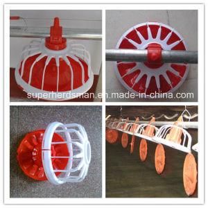 Full Set High Quality Poultry Farming Equipment