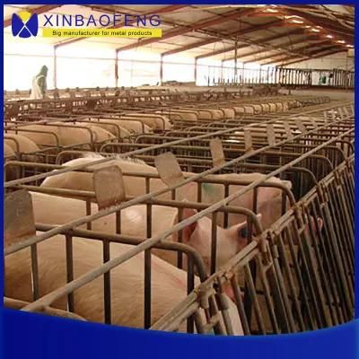 Hot Galvanized Metal Fattening Swine Pig Farrowing Crate