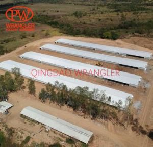 Cheap Price Best Quality Automatic Controlled Poultry Shed