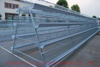 Chicken Cage Poultry Type a Raising Equipment for Large Scale Poultry Farm