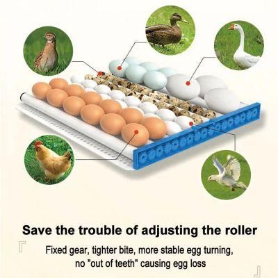 Best Selling Small Automatic 36 Capacity Egg Incubators Quail Egg Hatching Machine Price