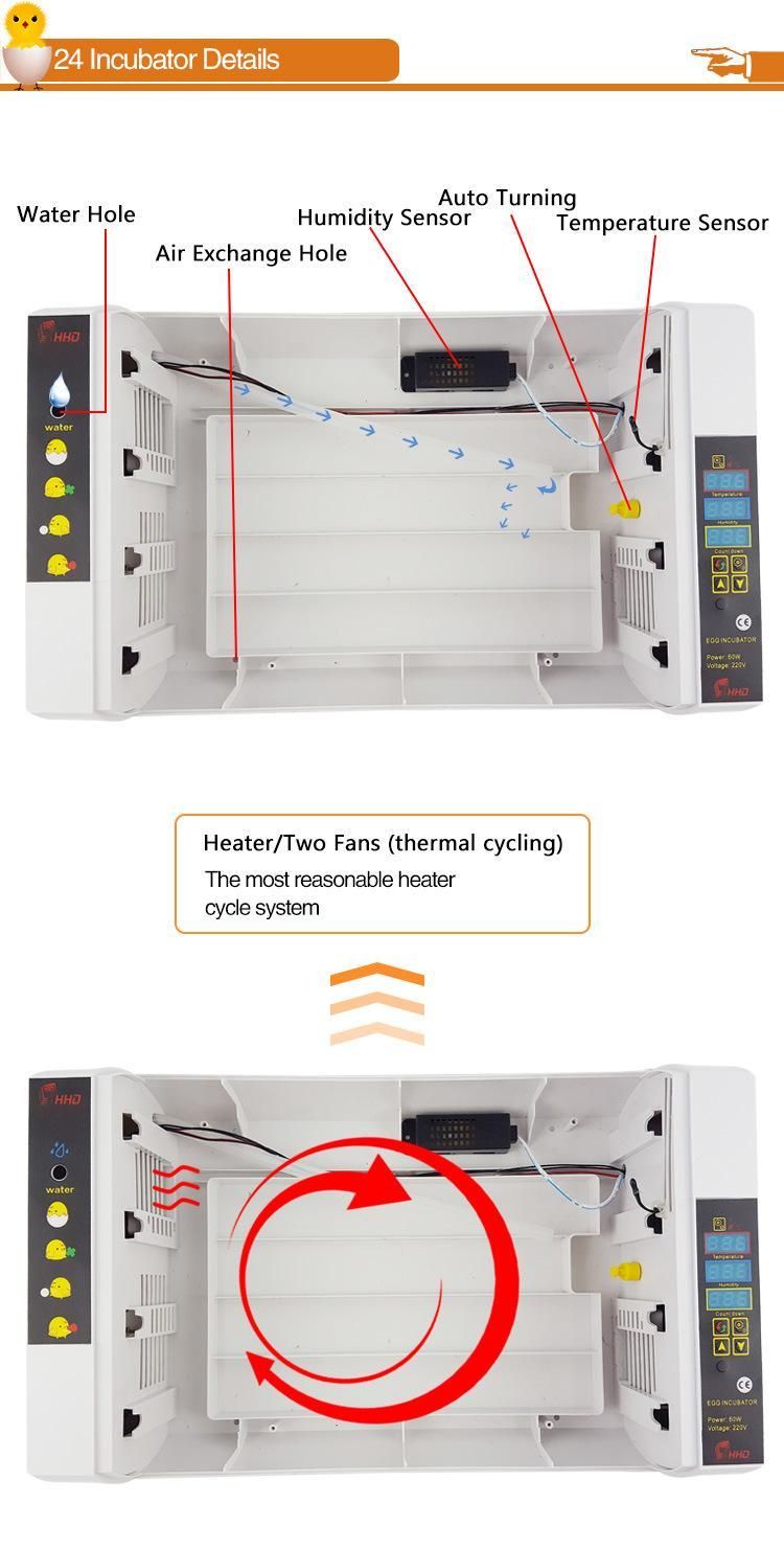 Hhd Ew-24A Egg Incubator Hot Sale in Qatar