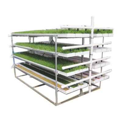 Microgreen Rack Hydroponic Fodder Tray System