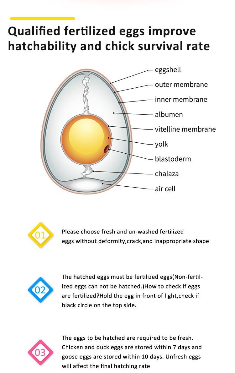 Ce Approved Digital Hhd H360 Egg Incubator and Hatcher