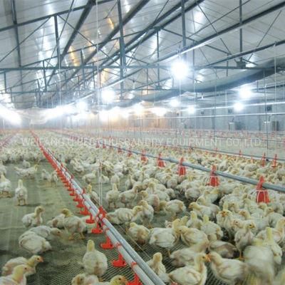 Full Set Automatic Brid/Poultry/Chicken/Breeder/Hen/Duck House Farm/Faming Equipment for Broiler/Breeder/Chicken/Hen