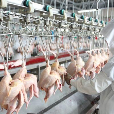 Chicken Slaughtering Line Scalding Defeathering Quail Poultry Processing Plant Hanger Slaughter House Machine Price