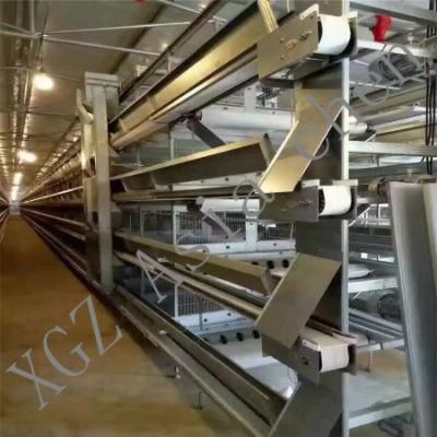 Cage Feeding System for Poultry Equipment