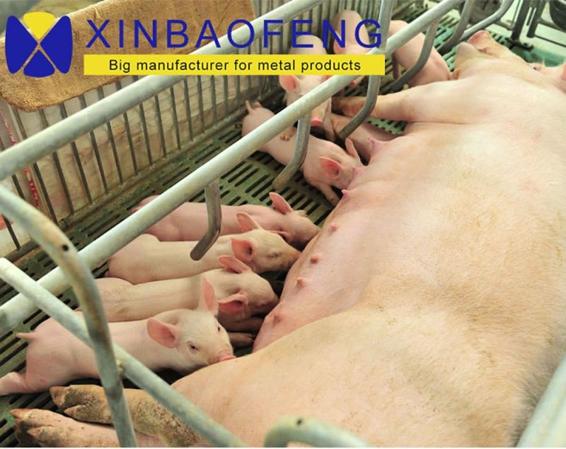 Factory Direct Sales Pig Farm Hot DIP Zinc Cage Breeding Pregnant Sow Cage Pen