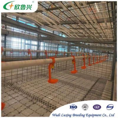 Automatic System Poultry Farming Equipment H Type Battery Chicken Layer Cage