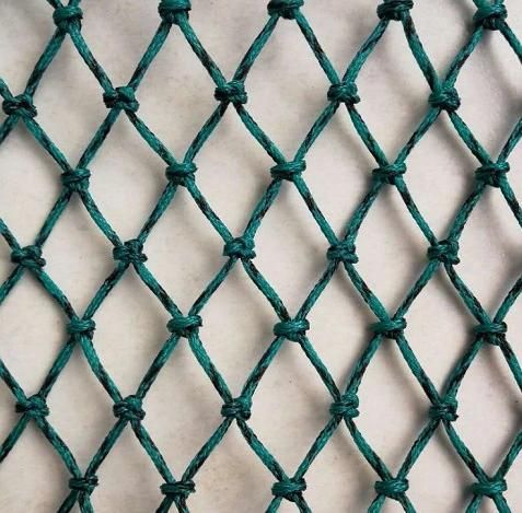 PE Fishing Net, Polyethylene Net, Fishing Net