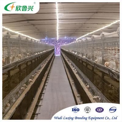 H Type High Quality New Farm Broiler Breeding Fully Automatic Chicken Cages Egg Layer
