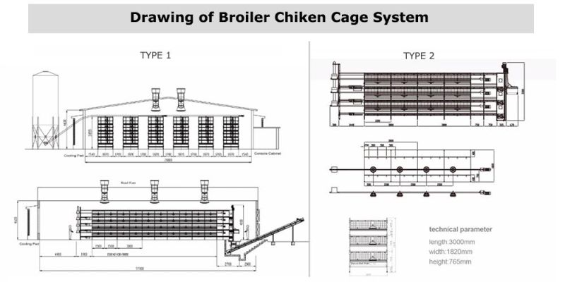 Poultry Chicken Farm Automatic Drinking System