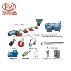 Automatic Chain Feeding System Poultry Equipment for Breeders