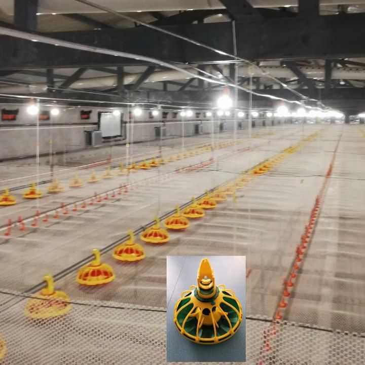 Automatic Poultry Equipment Animal Feeder/Nipple Drinking/Ventilation/Environment System