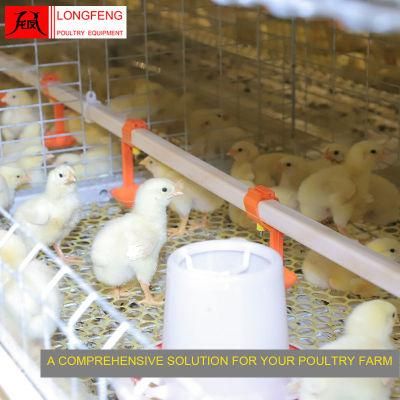 Customized Longfeng China Poultry Farm Layer Cages Feeding Equipment Feeder Chicken Cage 9lcr-3120