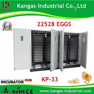 Full Automatic High Hatching Rate 20000 Eggs Automatic Egg Incubator