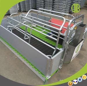 High Quality High Survival Rate Used Farrowing Crates Poultry Farrowing Crates