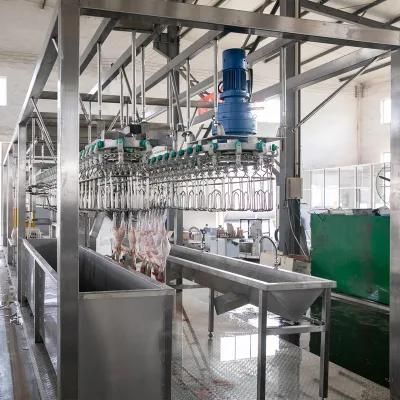 Qingdao Raniche Slaughter Machine Abattoir Equipment