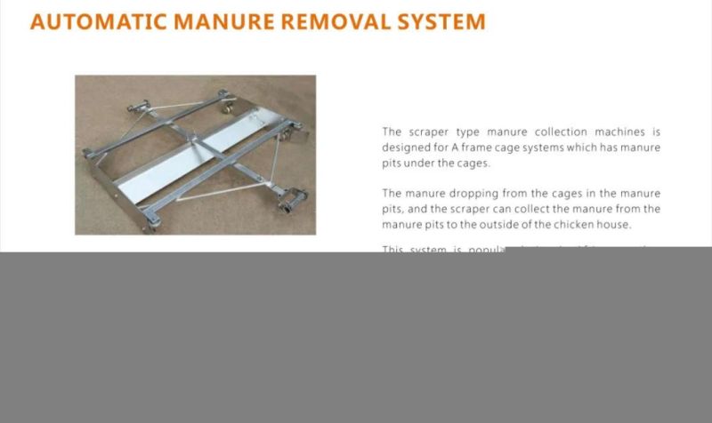 Layout Drawing and Cage Solution Design for Free