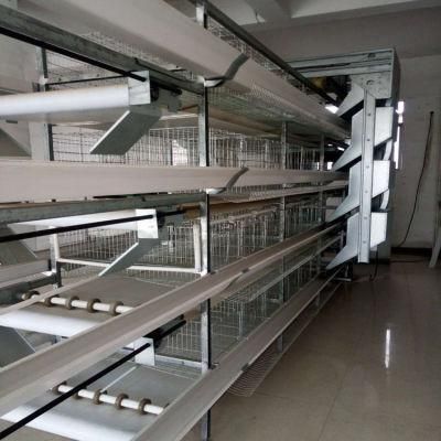 a Hen Cage for Chicken Farm Nigeria and Ghana in Africa