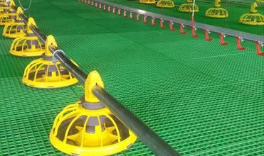 Steel Structure Agriculture Poultry Farm Chicken Feeder and Drinker