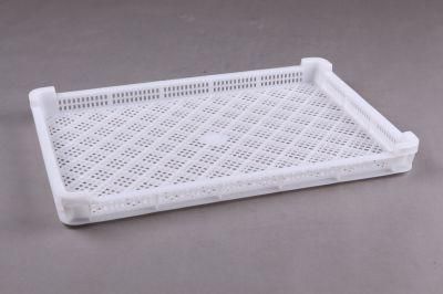 Frozen Plate for Dressing Plant for Broiler Dressing Plant for Chicken